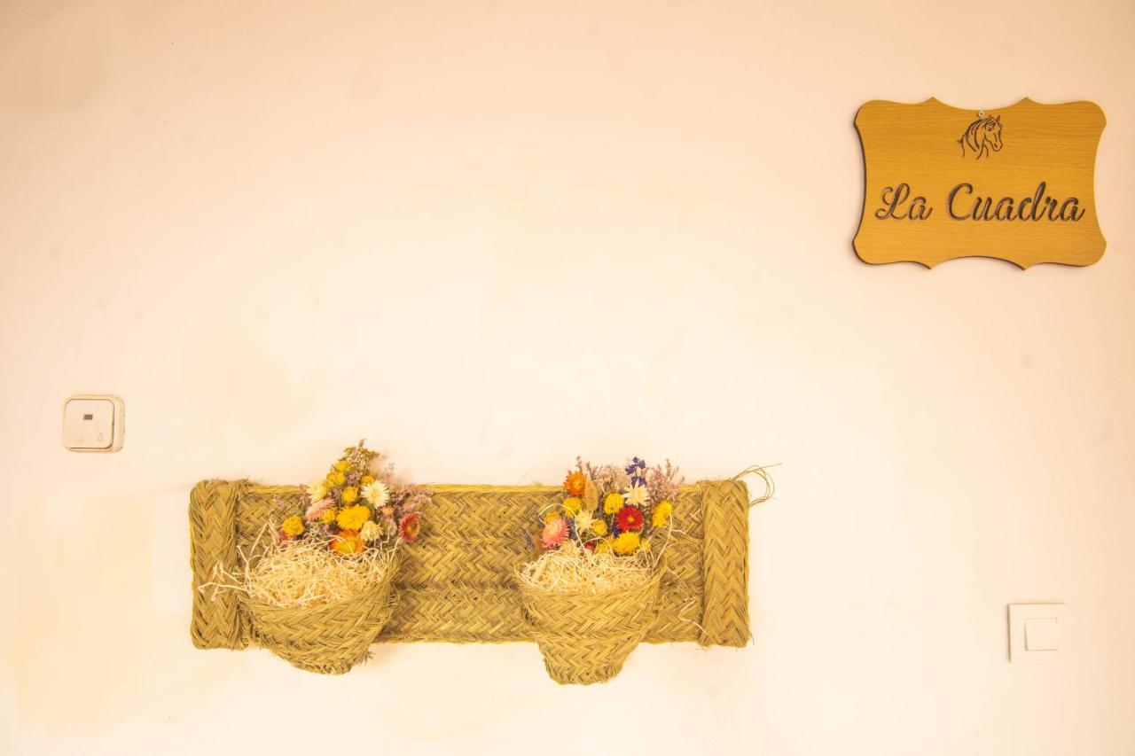 Apartamento La Cuadra En Centro Cordoba Dış mekan fotoğraf
